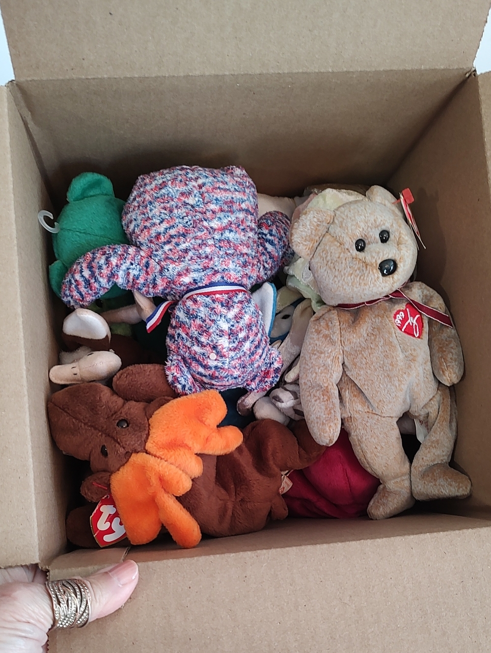 Beanie Baby Grab Bag Bundles